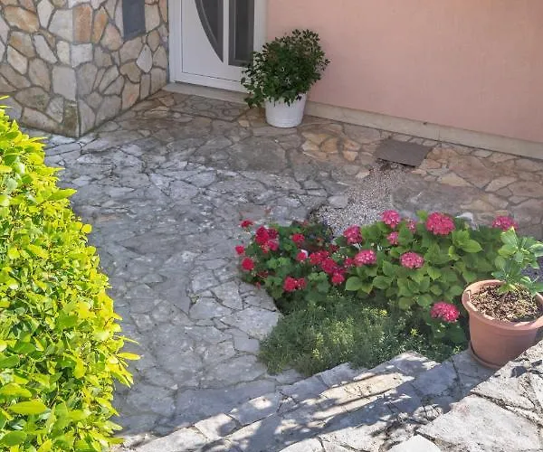 Lavanda With Beautiful Garden